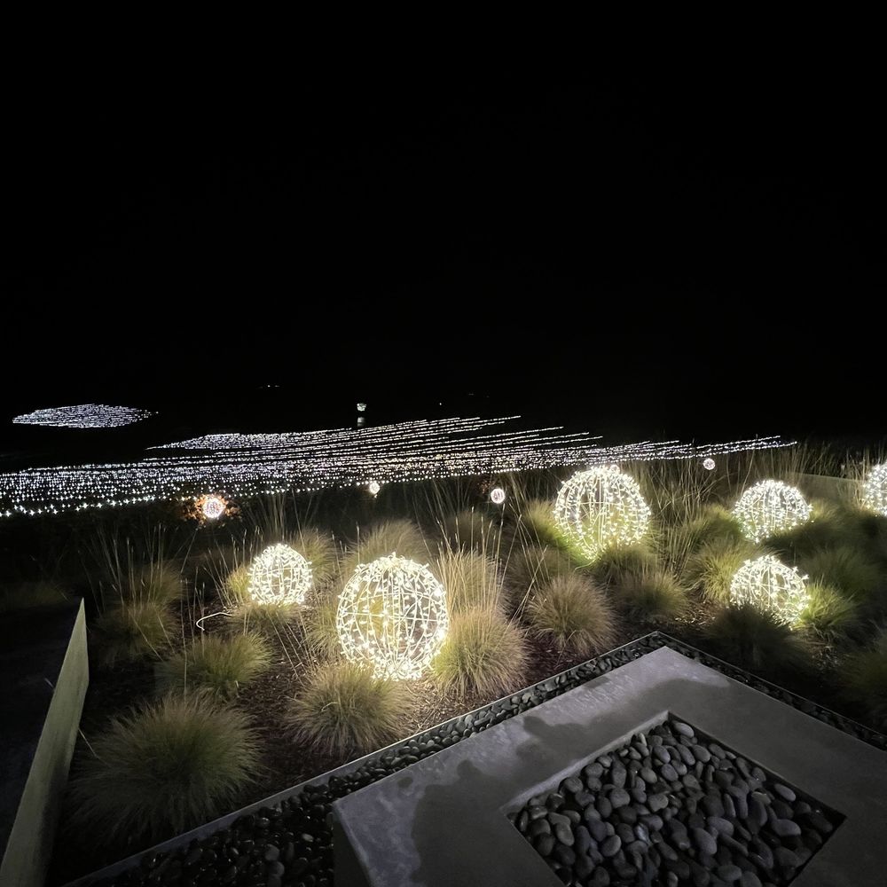 Cuvaison - Bright Nights - Wineries Near Me - Napa, California