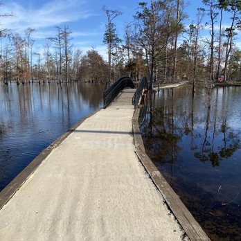 Sam Houston Jones State Park - Parks Near Me - Lake Charles, Louisiana Sam Houston Jones State Park - Parks Near Me - Lake Charles, Louisiana