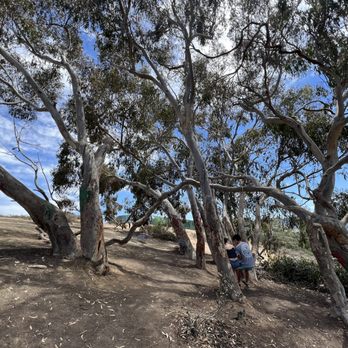 Hidden Swing - Hiking Near Me - La Jolla, California