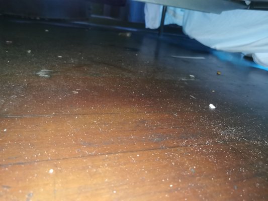 Lucky D's Hostel San Diego by null