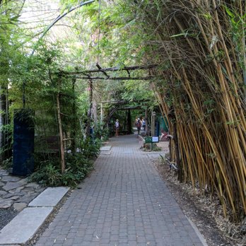 Casa De Luz - Entrance walkway - Vegan Near Me - Austin, Texas