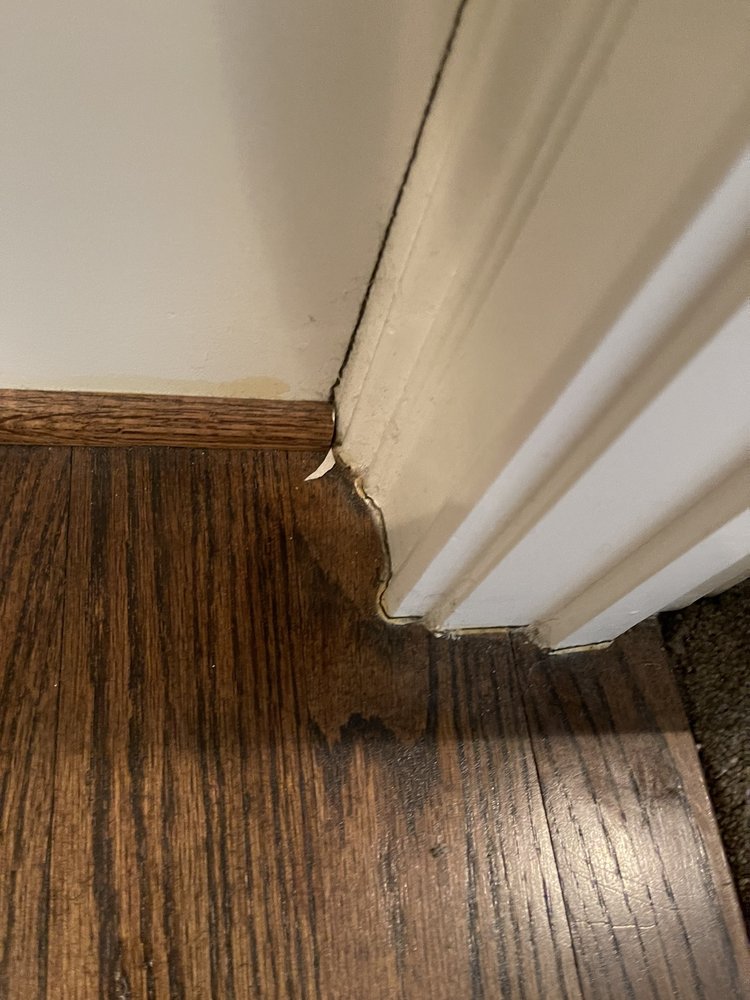 TOP CLEANING ATLANTA 19 Photos 1149 Peachtree St NE, Atlanta