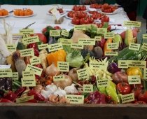 Markham Fairgrounds by null