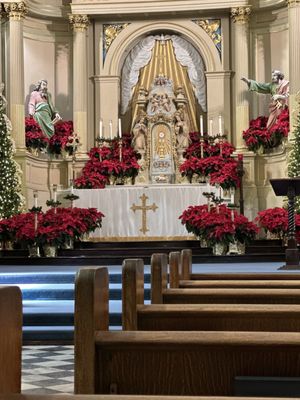 St. Louis Cathedral by null