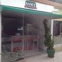 Photo of Nancy Congelados Light