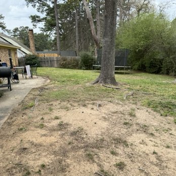 Stewart Loves Lawns - Back yard AFTER cleanup 3/7/24 - Lawn Services Near Me