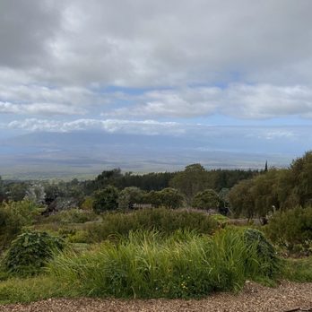 Ali'i Kula Lavender - Views! - Tours Near Me - Kula, Hawaii Ali'i Kula Lavender - Views! - Tours Near Me - Kula, Hawaii