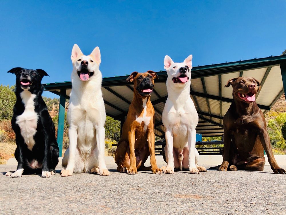 COLEMAN VETERINARY HOSPITAL Updated October 2024 20 Reviews 3145