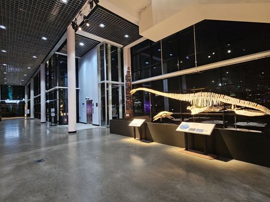 Empirical Theater by null