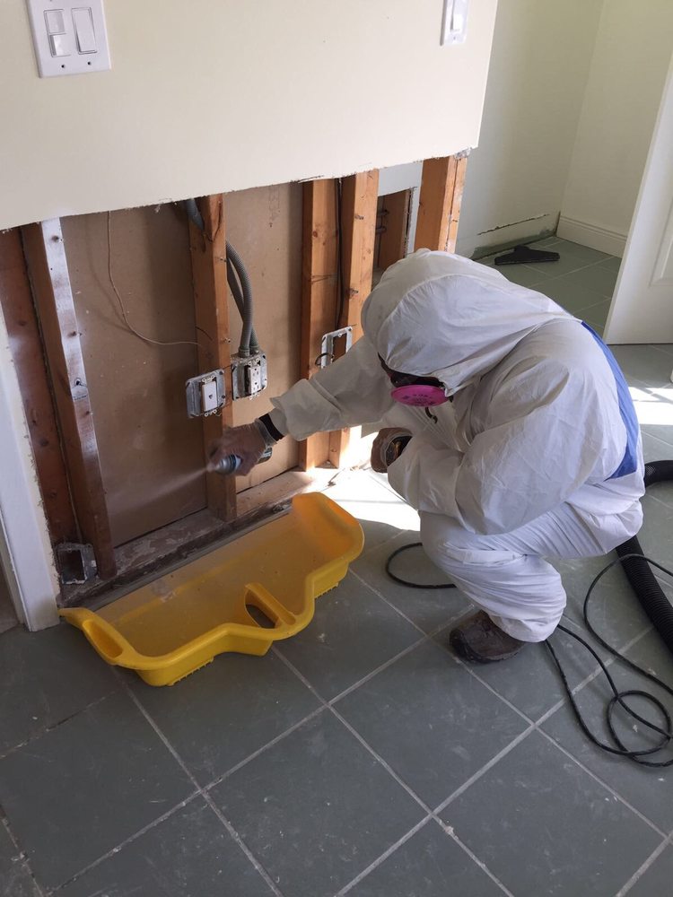 Dry Out Restorations - mold inspector in Islamorada, FL