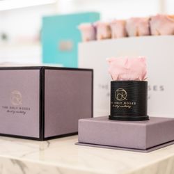 The Only Roses - Inside of the store