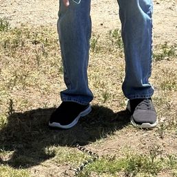 Snake on the church grounds!  Maybe up my pant leg if my photographer doesn't hurry with the pic! :o