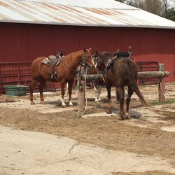 Horse' N Around Stables