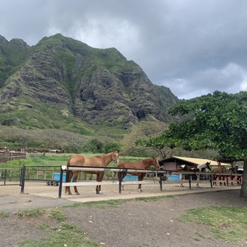 Kualoa Ranch - You can ride horses! - Tours Near Me - Kaneohe, Hawaii Kualoa Ranch - You can ride horses! - Tours Near Me - Kaneohe, Hawaii