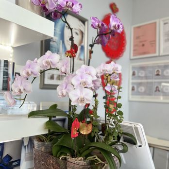 Ling Ling Beauty - Skin Care Near Me - Brooklyn, New York Ling Ling Beauty - Skin Care Near Me - Brooklyn, New York