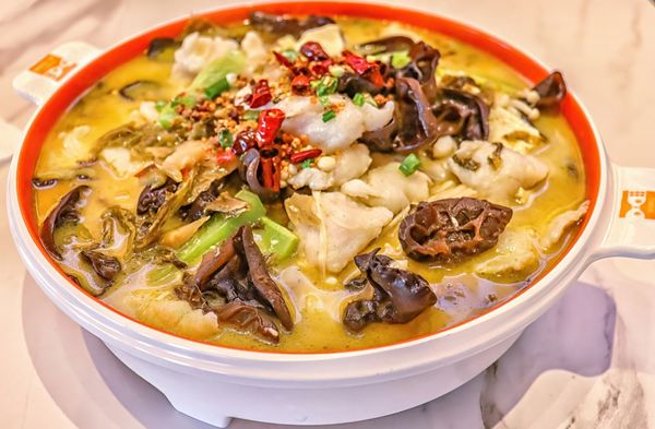 Fish With You 鱼你在一起 by null