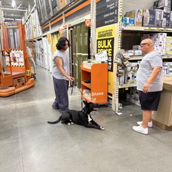 Gelert K-9 - Elvis and his owner Justin working on socializing at The Home Depot. Elvis did a great job!