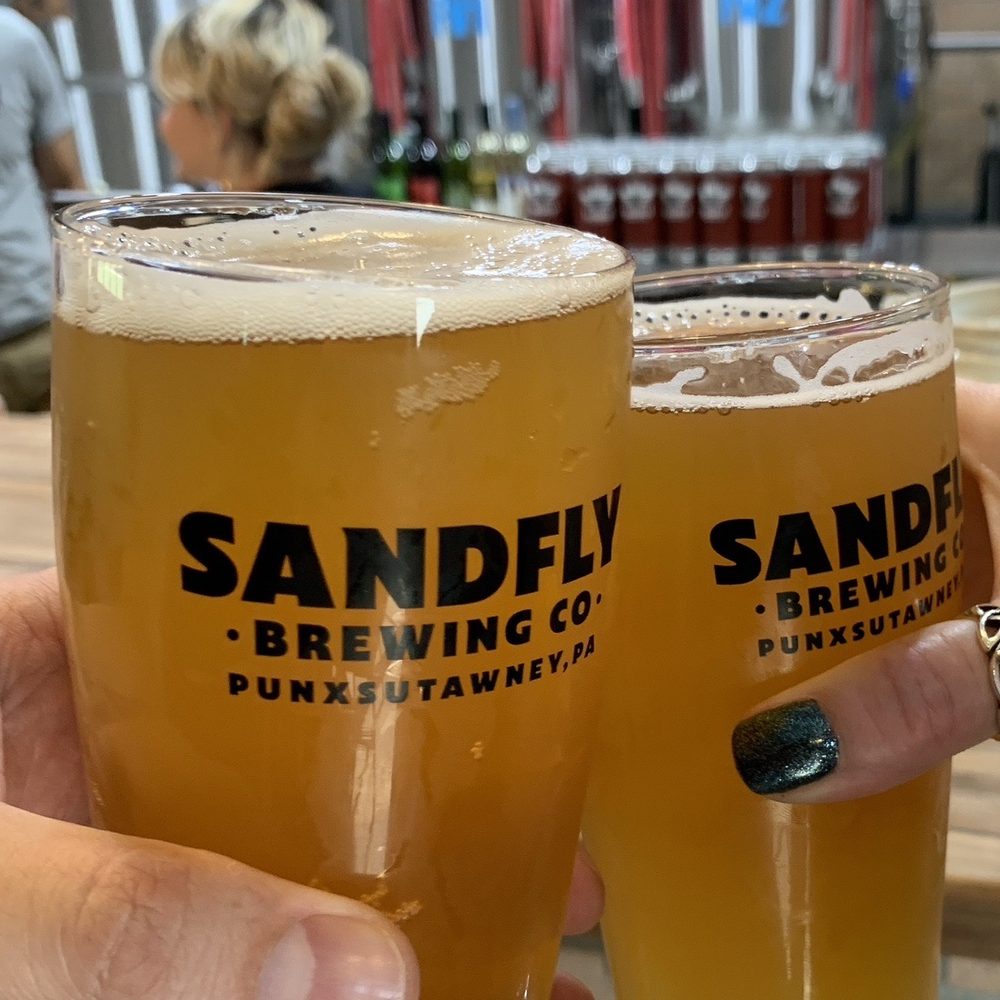 Sandfly Brewing - two people holding glasses of beer - Breweries Near Me - Punxsutawney, Pennsylvania Sandfly Brewing - two people holding glasses of beer - Breweries Near Me - Punxsutawney, Pennsylvania