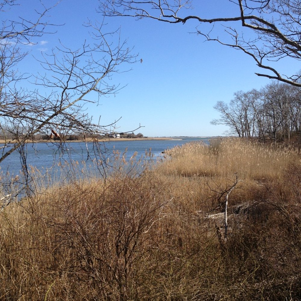 Terrell River County Park - Parks Near Me - Center Moriches, New York