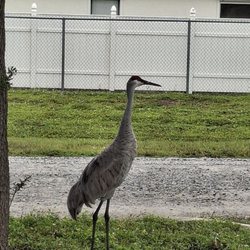 Deputy Brandon Coates Community Park