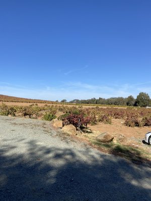 Terre Rouge & Easton Wines by null