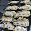 Gene's Oyster Bar gift card