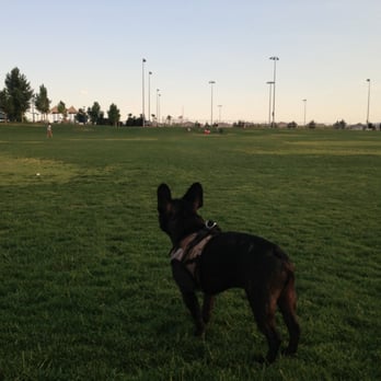 Red Ridge Park - Open space for your pup to romp - Parks Near Me - Las Vegas, Nevada
