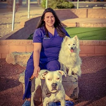 Dermatology for Animals - Albuquerque - Veterinarians Near Me - Albuquerque, New Mexico Dermatology for Animals - Albuquerque - Veterinarians Near Me - Albuquerque, New Mexico
