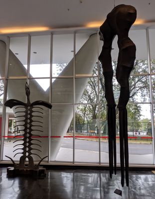 Museum of Contemporary Art at the University of São Paulo by null
