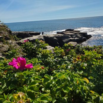 Two Lights State Park - Parks Near Me - Cape Elizabeth, Maine