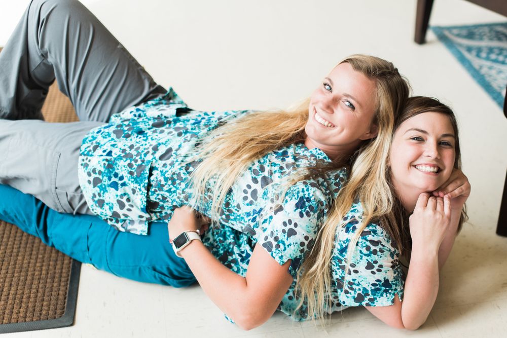 FAIRLEA ANIMAL HOSPITAL Updated September 2024 11 Photos 2789