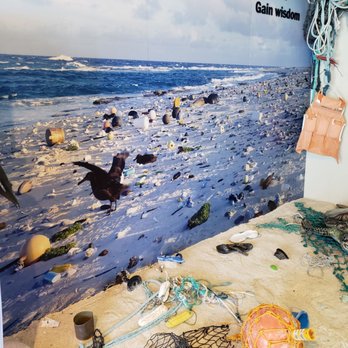 Mokupapapa Discovery Center - Dont litter. Use less plastic. Take some trash with you off the beach. - Aquariums Near Me - Hilo, Hawaii
