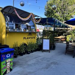 Tansy - Plantate Cafe