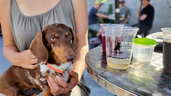 Black Lab Brewing by null