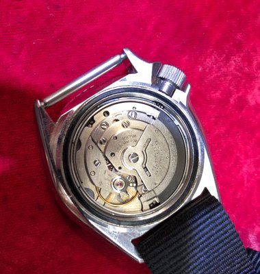 Luxury Watch Collection Display
