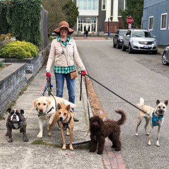 Haven's Hounds - My Pals ♥ - Dog Walkers Near Me - Queen Anne, Washington