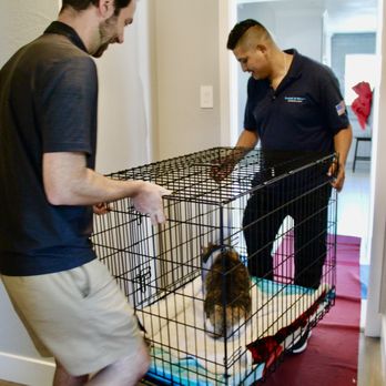 Trusted Movers - Trusted Movers understands that pets are part of the family too! That's why we are proud to be a pet-friendly moving service! - Movers Near Me - San Jose, California Trusted Movers - Trusted Movers understands that pets are part of the family too! That's why we are proud to be a pet-friendly moving service! - Movers Near Me - San Jose, California