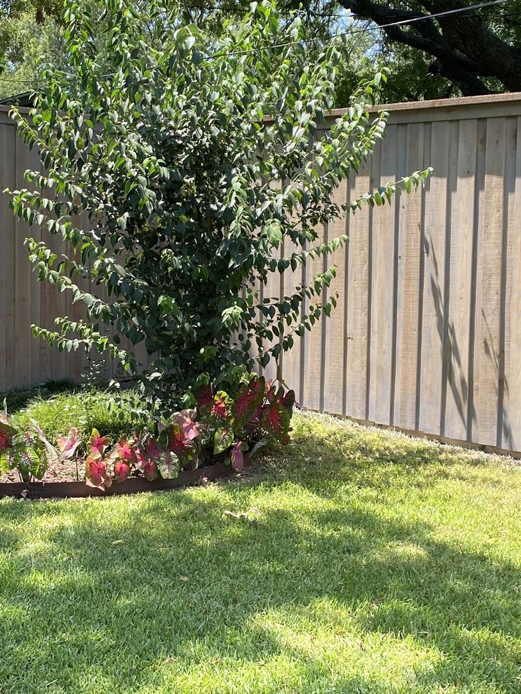 Slide of Nunez Fence And Roof