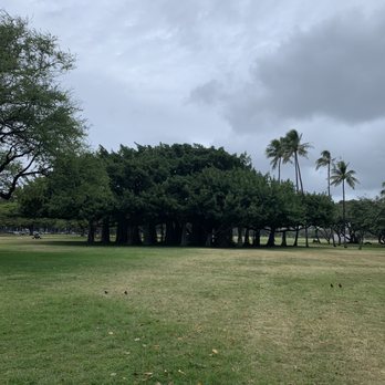 Kapiolani Park - Banyan tree - Parks Near Me - Honolulu, Hawaii Kapiolani Park - Banyan tree - Parks Near Me - Honolulu, Hawaii