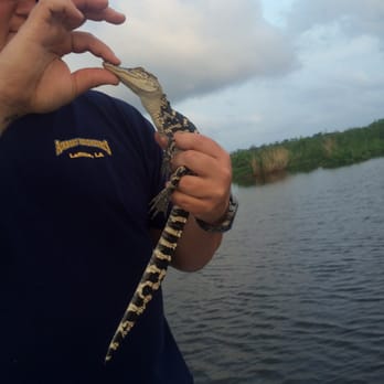 Airboat Adventures - Boat Tours Near Me - Lafitte, Louisiana