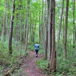 Some parts of the trail are well maintained. Others not so much.
