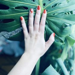 Nail Story in Chicago gift card