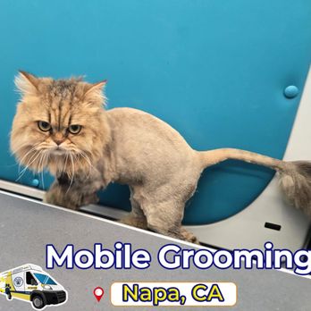 Paw Zone Mobile - Pet Groomers Near Me Paw Zone Mobile - Pet Groomers Near Me