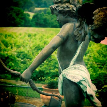 Mediterranean Cellars Winery - Looking over the vineyard. - Wineries Near Me - Warrenton, Virginia