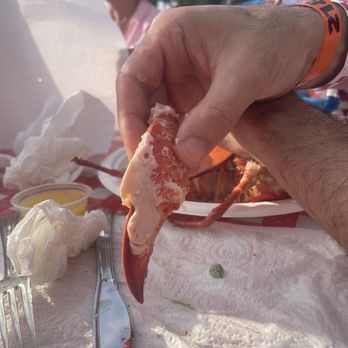 Tustin Lobsterfest - Whats the slimy white stuff - Festivals Near Me - Tustin, California Tustin Lobsterfest - Whats the slimy white stuff - Festivals Near Me - Tustin, California