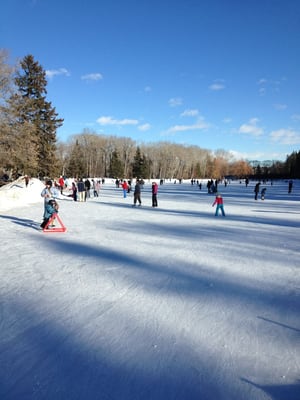 Bowness Park by null