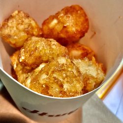 Hwy 55 Burgers Shakes & Fries - Hwy 55 -- tater tots