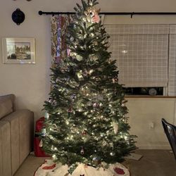 Morning Glory Farm Christmas Trees - Christmas tree, 2025