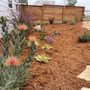 Photo of Duraground Landscapes