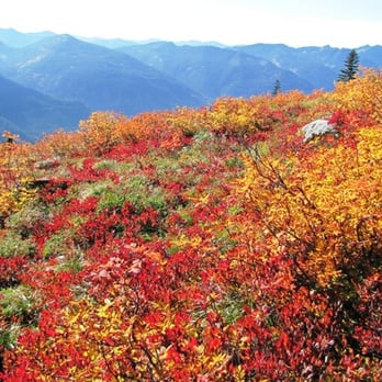 Granite Mountain - Hiking Near Me - North Bend, Washington Granite Mountain - Hiking Near Me - North Bend, Washington